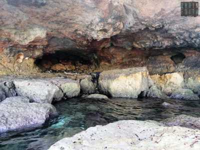 Da qua ci muoviamo a nuoto sulla sinistra della scogliera, dove ci imbattiamo in un�altra grotta dotata di due �bocche�, una delle quali per� risulta ricolma di pietre, rifiuti e tronchi